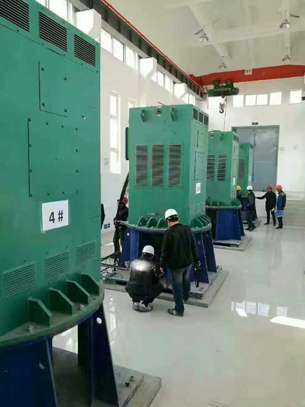 鞍山某污水处理厂使用我厂的立式高压电机安装现场安装尺寸
